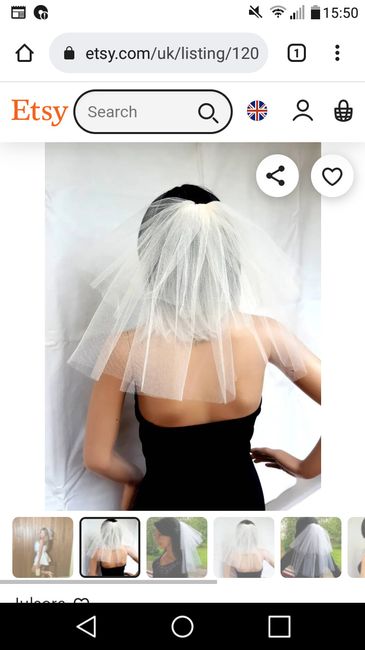 Veil or no veil? - 1