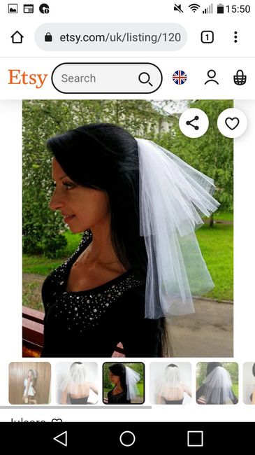 Veil or no veil? - 2