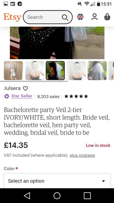 Veil or no veil? - 3