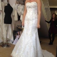 Re: Mass dress flash