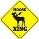 Moose in the Garage