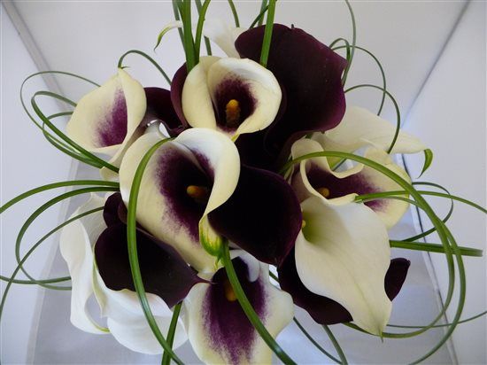 Re: March 2014 brides