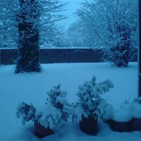 RERe: RERe: RERe: RERe: REShow me your snowy photos