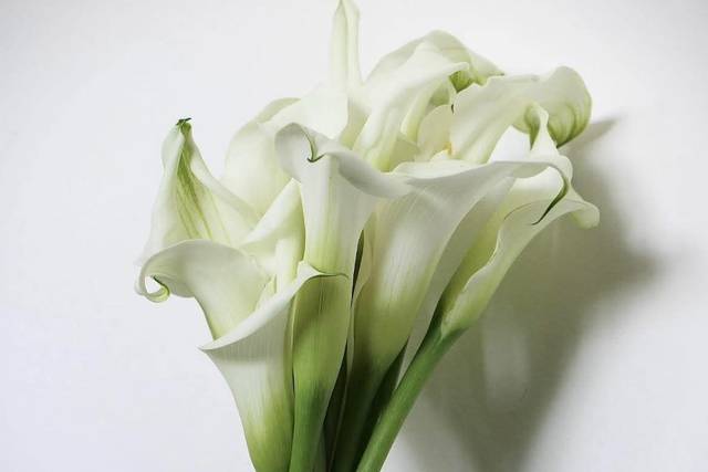 Calla Bouquet
