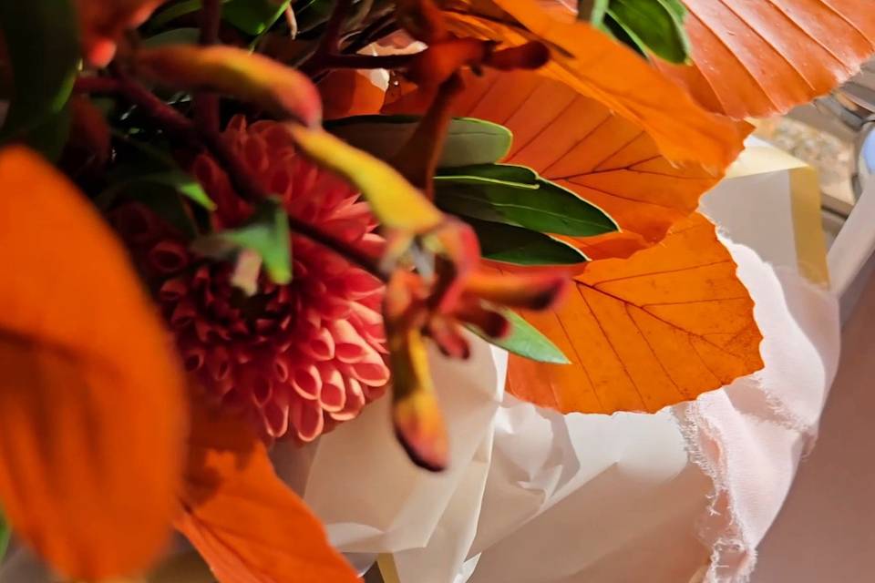 Autumnal Colours always!!!