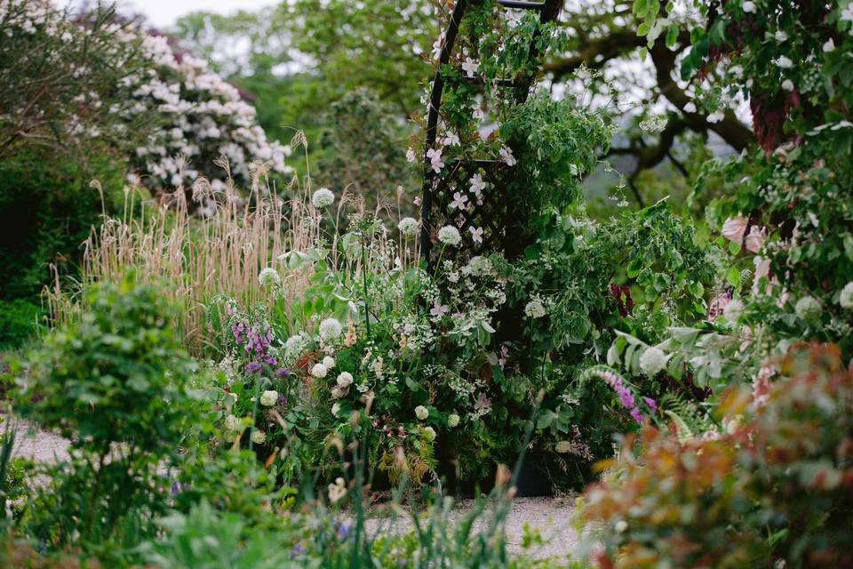 Late Spring Arch