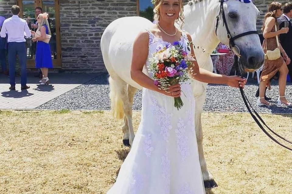 Perfect pony and bride