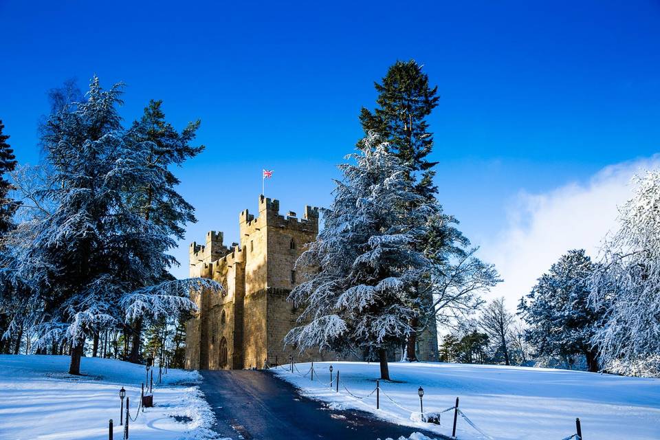 Castle surorunded by nature