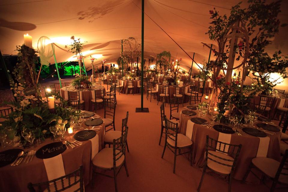 Reception tent