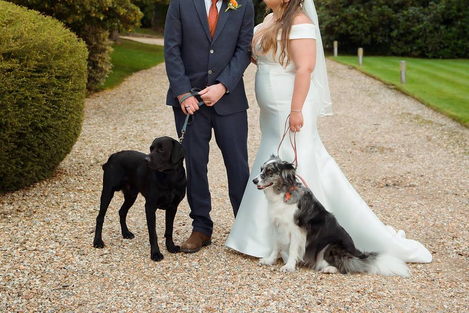 The couples doggies