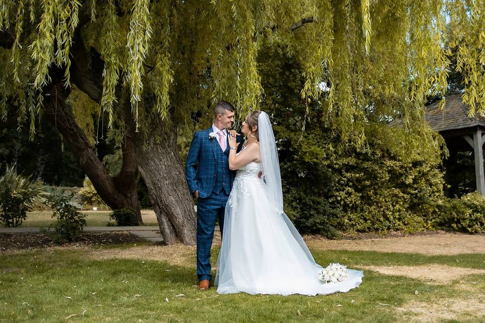 Willow tree
