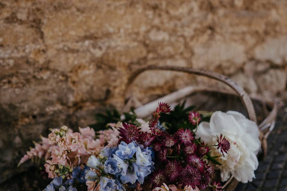 Collection of flowers