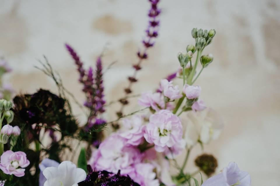 Beautiful wild, seasonal flowers