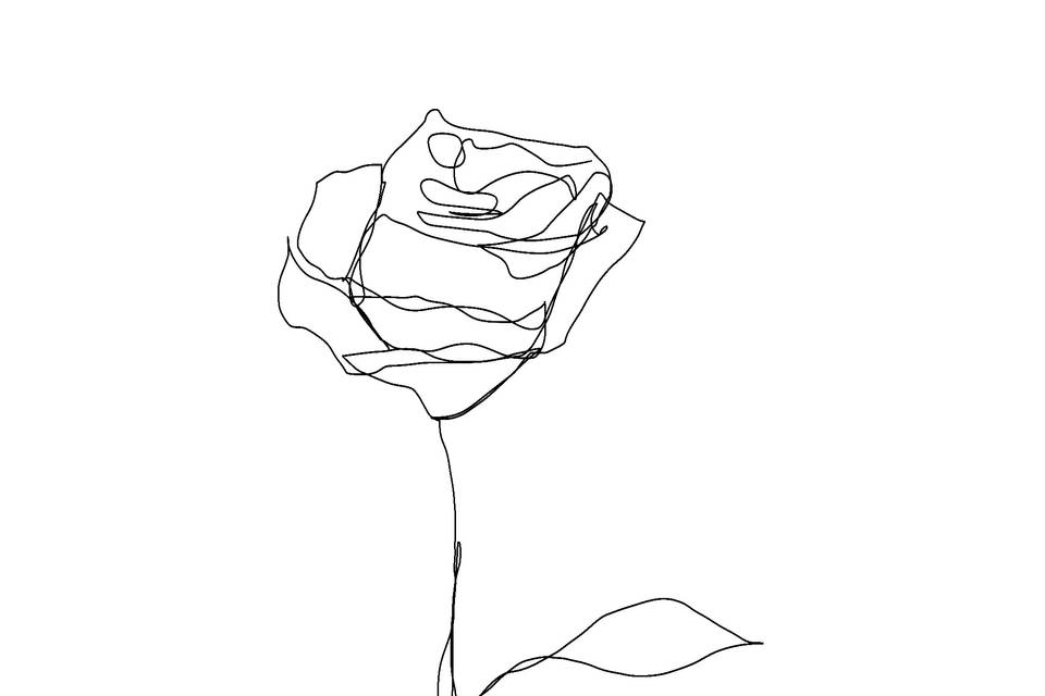 Rose drawing