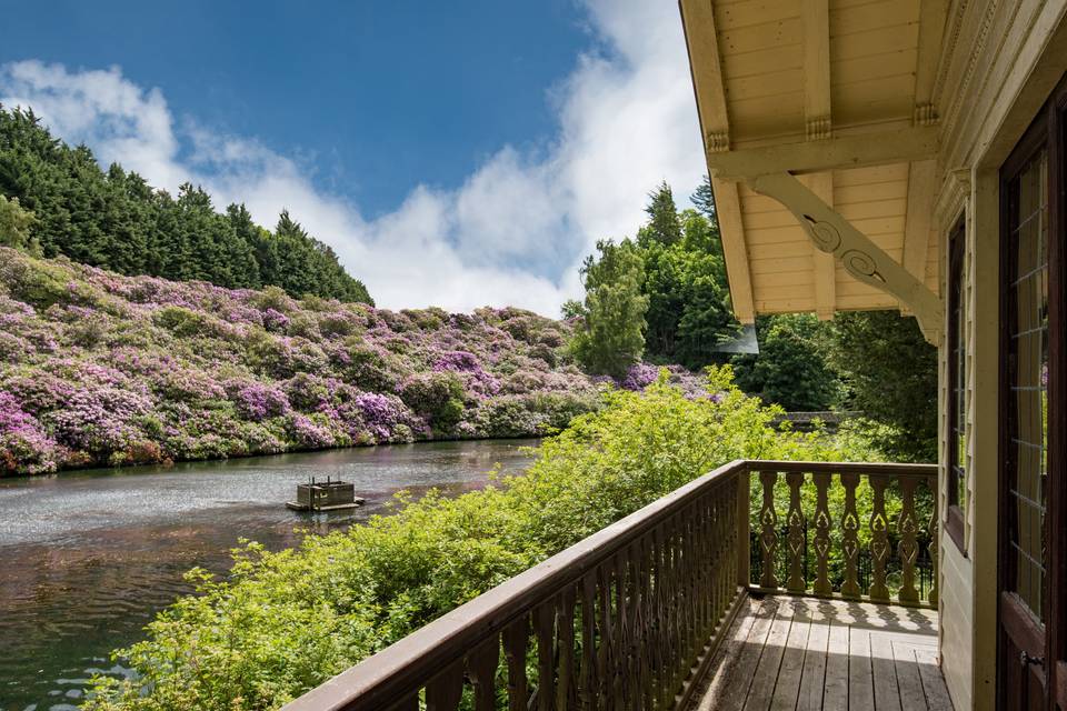 The View from the Boathouse