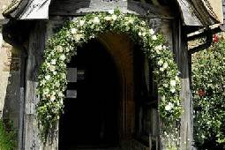 Wedding flowers Godalming