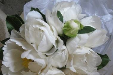 White peony bouquet