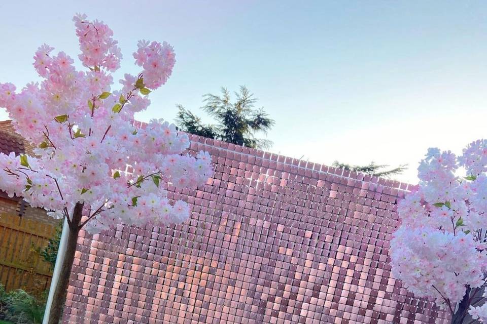 Pink Sequin Wall