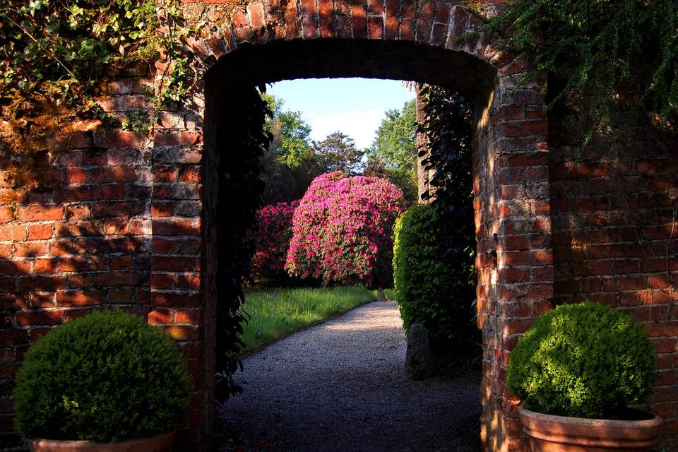 The ancient walled garden