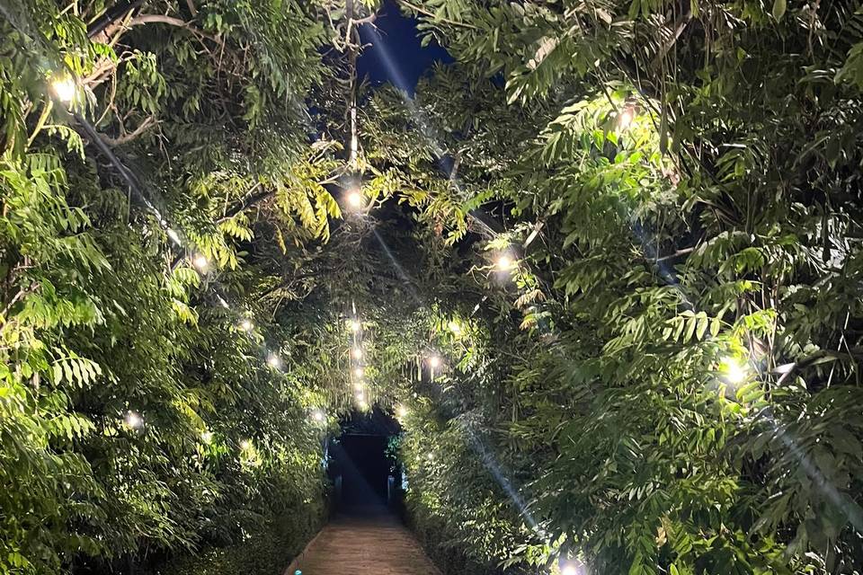 Exploring in the dark
