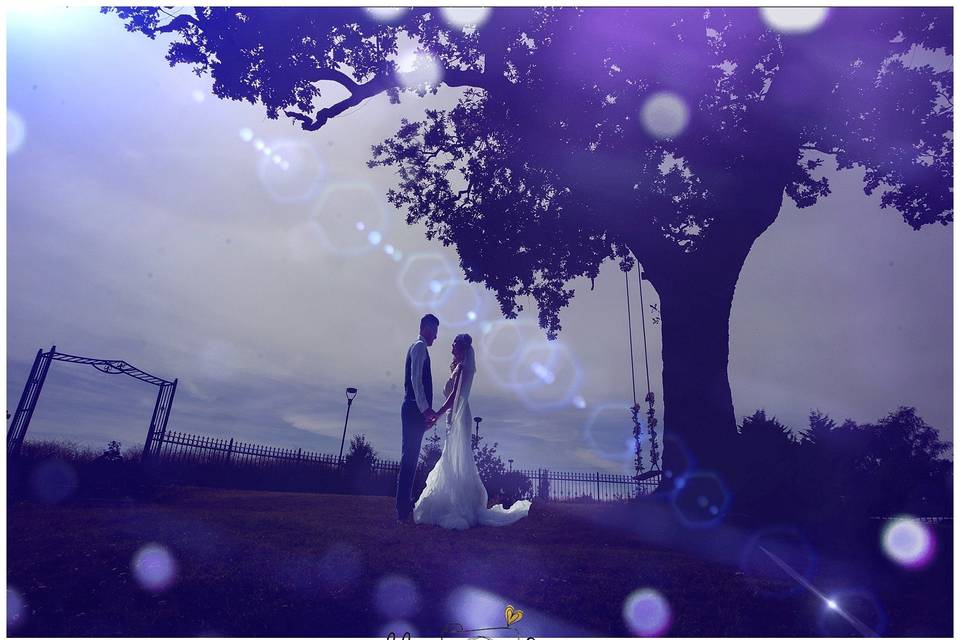 Wedding Fusion Imagery