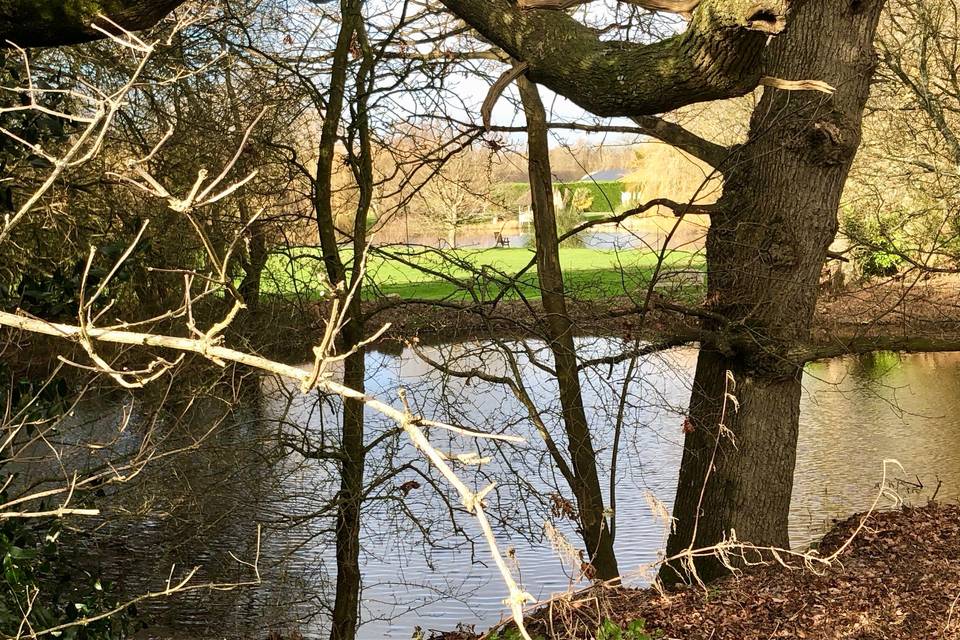 Ancient pond.