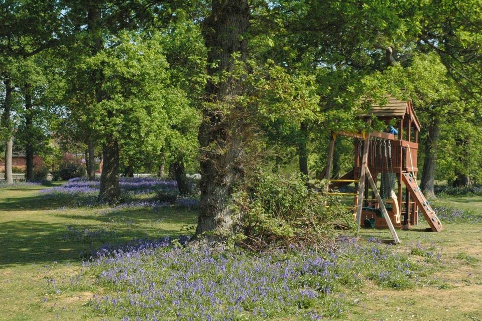 Woodland play area.