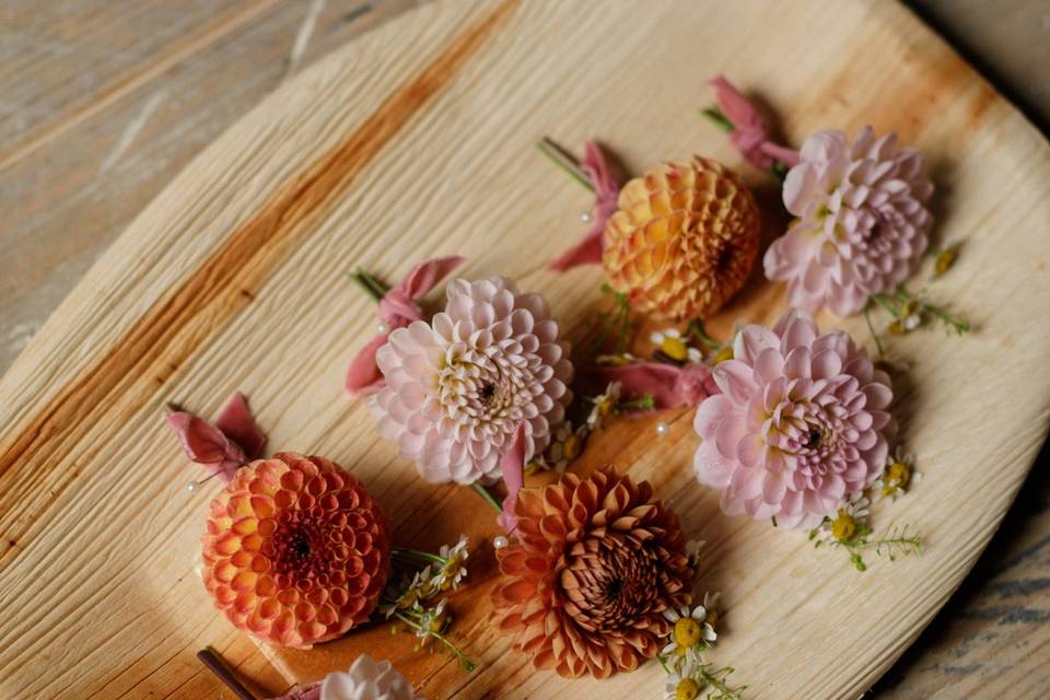 Dahlia buttonholes