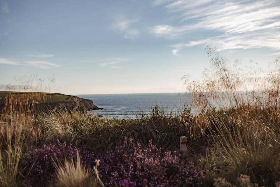 Dune Gardens