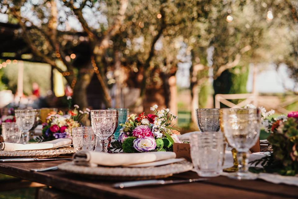 Table in the olive grove