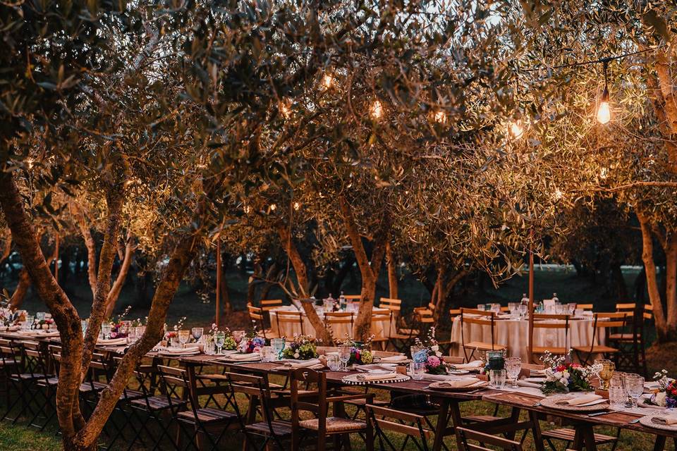 Table in the olive grove