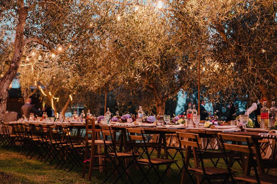 Table in the olive grove