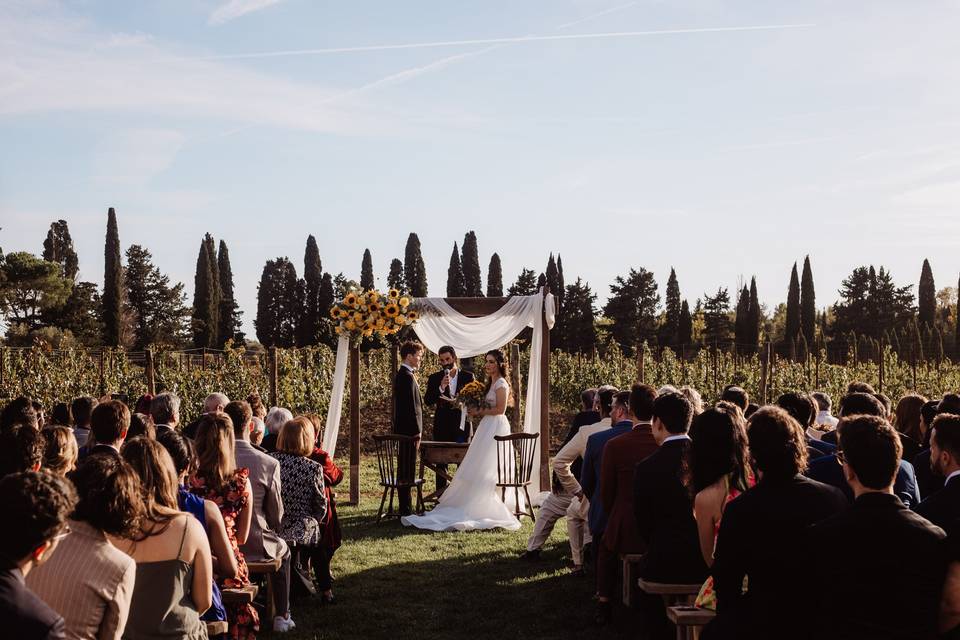 Ceremony in the vineyard