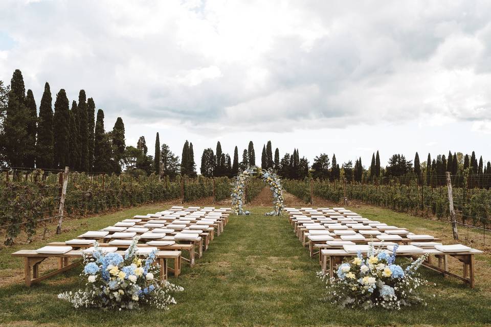 Ceremony in the vineyard