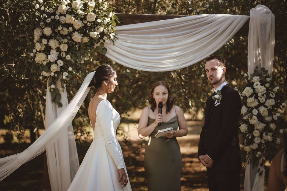 Ceremony in the vineyard