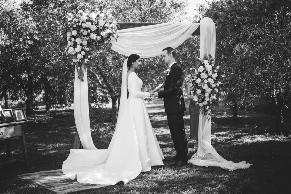 ceremony in the olive grove