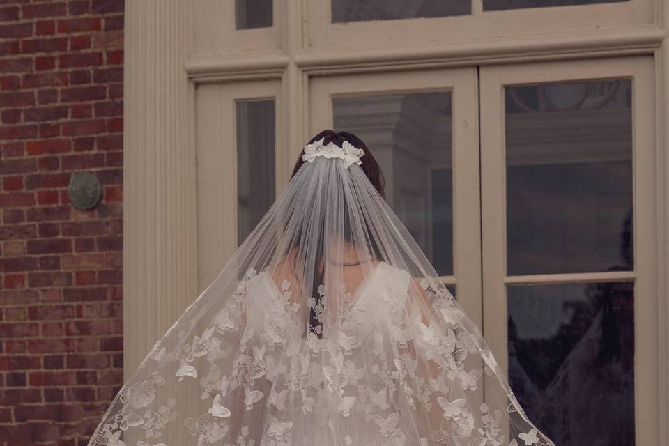 Aurora Butterfly Veil - Waist