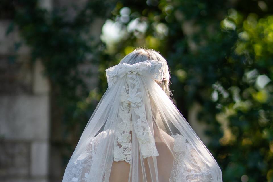 Aurora Veil - Shoulder