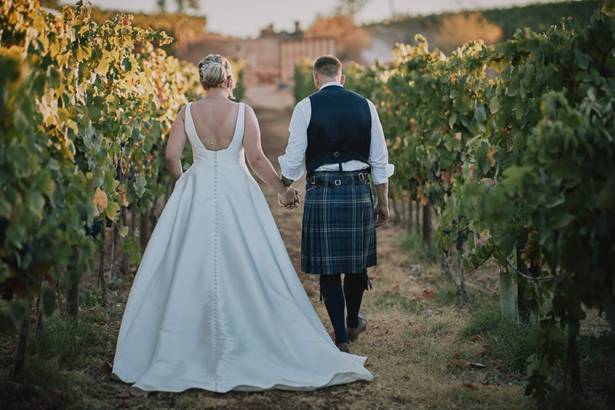 Vineyard in Portugal