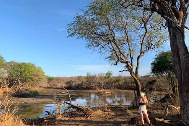 Luxe & Wild Travel