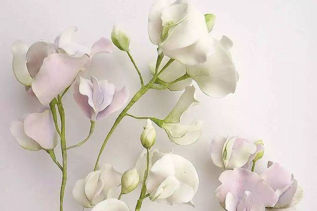 Sugar sweet peas!