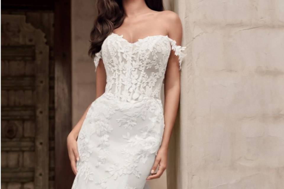 Sophia Tolli