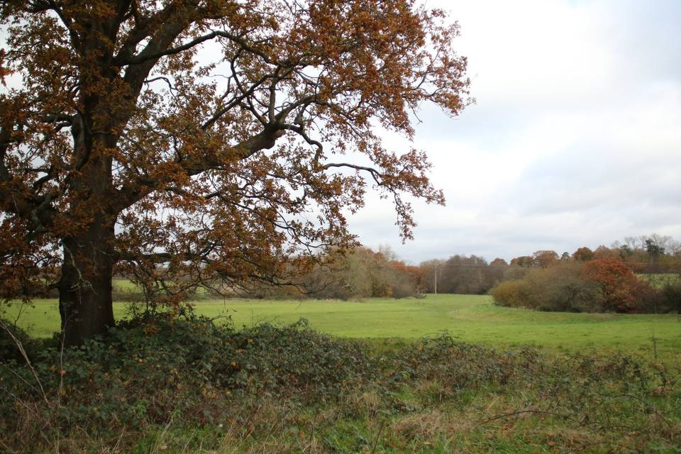 Views of the haymeadows