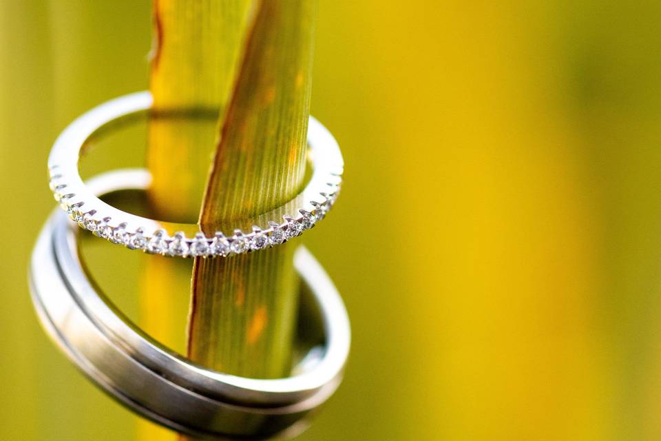 Wedding Ring Photo