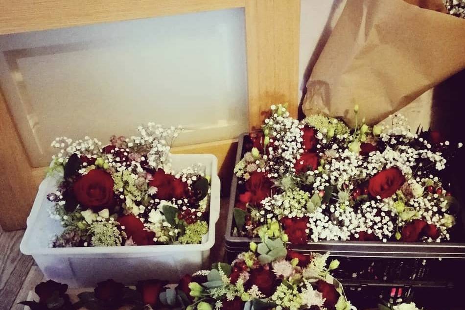 Red, green and white