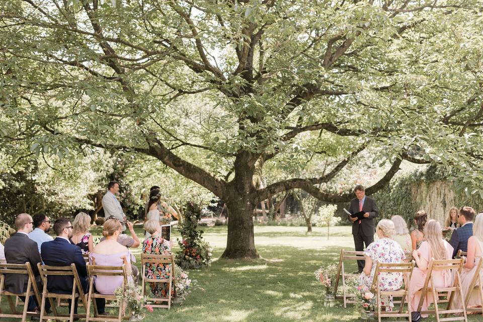 Walnut Tree Ceremony