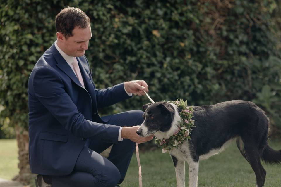 Dog friendly wedding venue