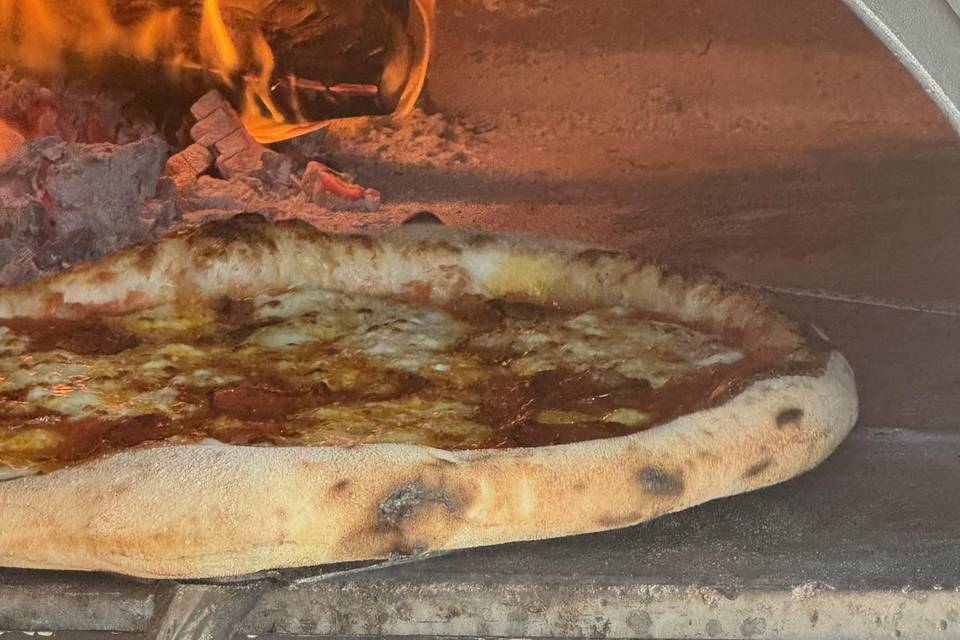 Wood fired oven