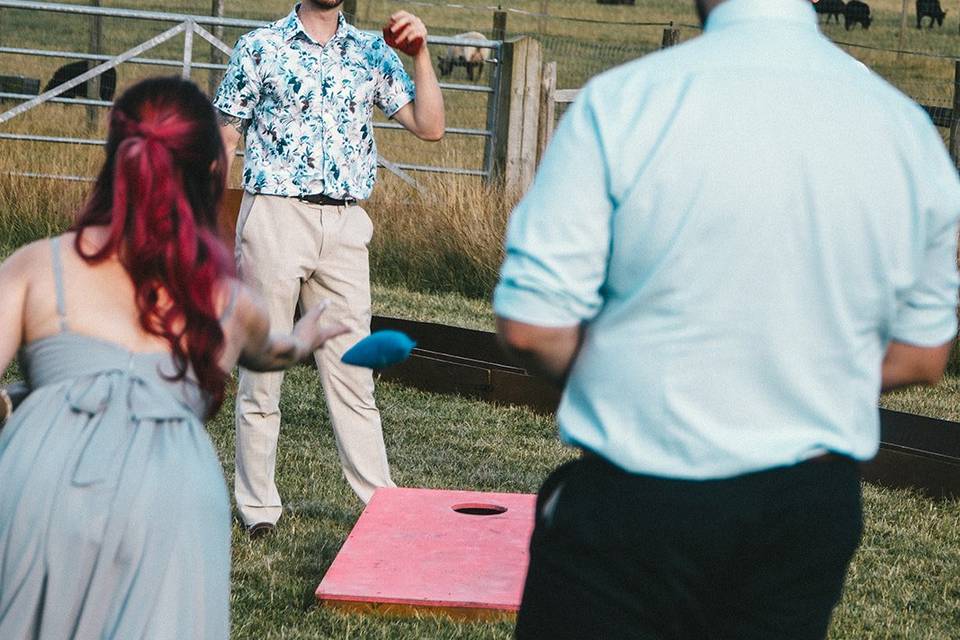 Cornhole