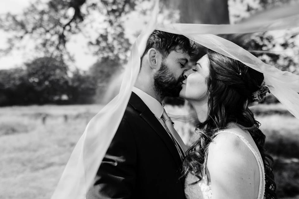 Veil Shot